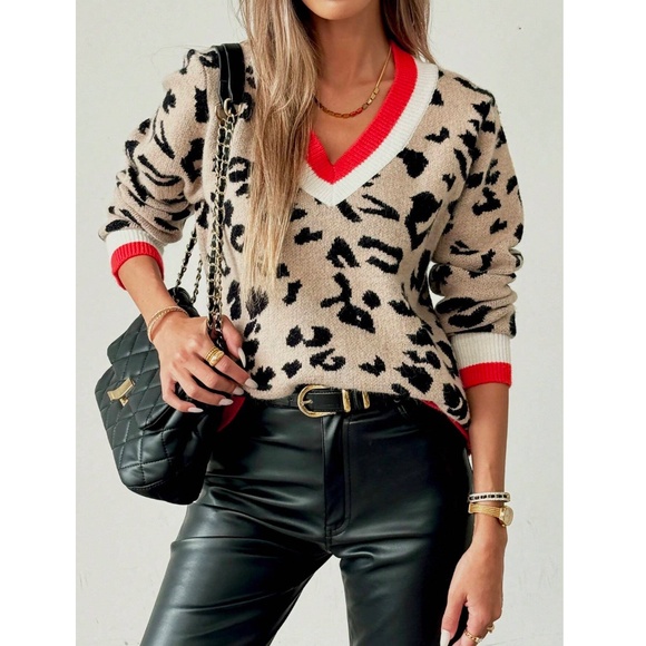 Animal Print Cheetah V-Neck Contrast Binding Knit Sweater Beige - Picture 2 of 7